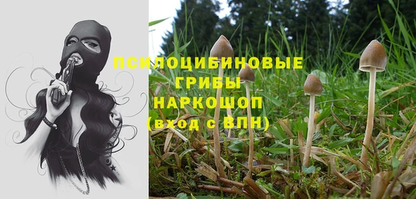 соль курить ск Бронницы