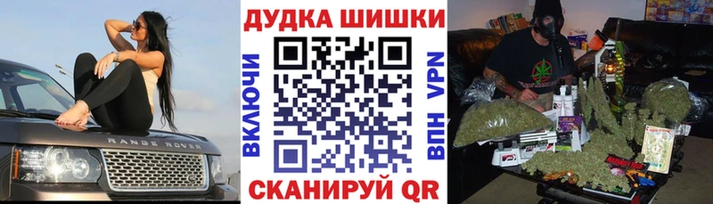 Шишки марихуана конопля Коммунар